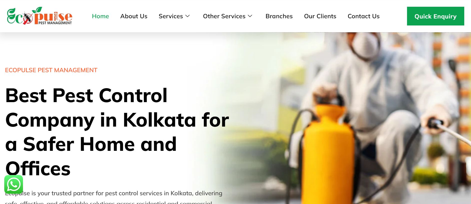 Ecopulse India website